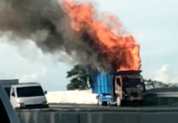 Truk Muat Kayu Palet Ludes Terbakar di Tol Candi Sidoarjo