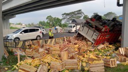 Sopir Ngantuk Truk Terbalik di Tol Sidoarjo, Muatannya Jadi Rebutan Warga