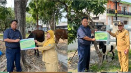 Iconland Property Bagikan 4 Hewan Kurban ke Masyarakat