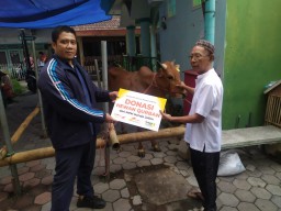 Idul Adha 2023: MPM Honda Jatim Donasi Hewan Kurban di 6 Kota Sekitar Area Operasional