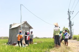 Pertanian Modern Berbasis Listrik Makin Berkembang, Program Electrifying Agriculture PLN Tumbuh 22,28 Persen