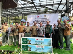 PT Smelting, Industri Smelter Yang Fokus Urus Komodo