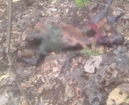 Ganjar Temukan Mayat Tanpa Identitas di Hutan Bojonegoro
