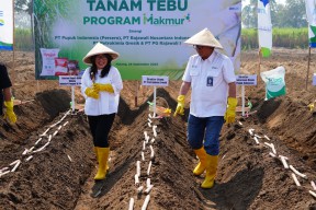 Bersama PG Rajawali I, Petrokimia Gresik Pertahankan Jatim Sebagai Lumbung Gula Nasional Melalui Program Makmur