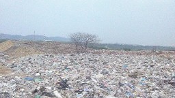 Kapasitas TPST di Gresik Masih Mampu Olah 20 Ton dari 200 Ton Sampah Harian