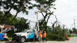 Jaga Keandalan Pasokan Listrik, PLN Laksanakan Pemeliharaan di 11 Kota dan Kabupaten