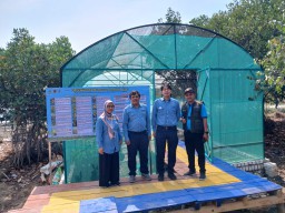 Green House Pengembangan Bibit 15 Jenis Mangrove di Pangkahkulon Dibangun PT Smelting