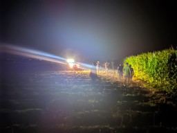 Ngeri, Petani Jagung Di Bojonegoro Melihat Harimau Jalan-jalan di Lahannya