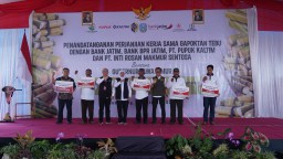 Petani Tebu Tulungagung Disuntik Modal Kerja dari Bank Jatim Untuk Memperkuat Produksi