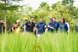 Petrokimia 20 Tahun Lebih Kembangan Precision Farming