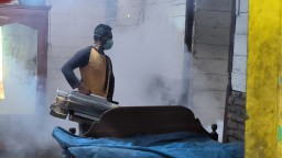 Dinkes Bojonegoro Sebut Chikungunya Tidak Membahayakan, Begini Cara Mengatasinya