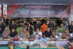 Bareskrim Polri Bongkar Illegal Logging Ribuan Kayu Gelondongan Asal Kalimantan Dikirim ke Lamongan