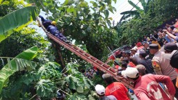 Potong Dahan Pohon Jati, Warga Desa Wotan Bojonegoro Tersengat Listrik Hingga Meninggal