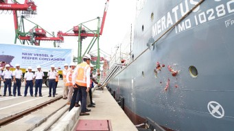 Potensi Menjanjikan, MV Cilegon Milik Meratus Sandar Perdana di TTL