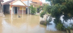 Hujan Deras 2 Hari, Beberapa Wilayah Gresik Selatan Banjir