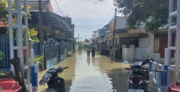 268 Rumah dan 575 Hektare Sawah di Bojonegoro Terendam Banjir Akibat Curah Hujan Tinggi