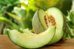 Bagus Mana Melon Hijau vs Golden Melon