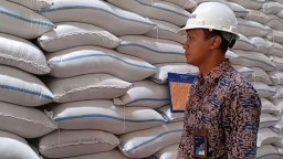 Bulog Ponorogo Tingkatkan Serapan Gabah Petani