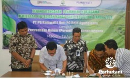 Dukung Swasembada Gula Nasional, Perhutani Gandeng PT. PG Rajawali I