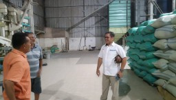 Pemerintah Naikkan HPP Jadi Angin Segar Petani, Begini Kondisi Jual Beli Gabah Padi di Jombang