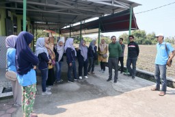 Kunjungan ke Bank Sampah Binaan MPM Honda Jatim, 15 Pengurus Bank Sampah Belajar Pengolahan Sampah.