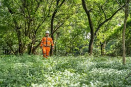 Lindungi Keanekaragaman Hayati dan Dorong Dekarbonisasi, SBI Alokasikan Separuh Area Pabrik Cilacap sebagai Hutan Kota
