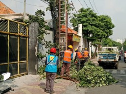 PLN UP3 Surabaya Utara Komitmen Menjaga Pasokan Listrik dengan Rutin Menggelar Bebas Nyaman (Grebek Rabas Penyulang Aman)