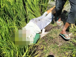 Hendak Memperbaiki Pompa Air di Sawah Warga Bojonegoro Tersengat Listrik hingga Meninggal