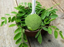 Ikuti Tips Aman Mengolah Daun Kelor, Banyak Manfaat yang Kita Dapatkan.