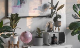 5 Jenis Tanaman Hias Dalam Ruangan yang Cantik