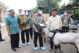 Jelang Idul Adha, Pedagang Hewan Kurban di Jombang Disidak