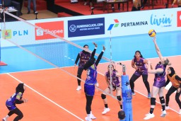 PLN Mobile Proliga 2024: Popsivo Makin Mantab di Puncak Klasemen, Usai Kalahkan Livin Mandiri