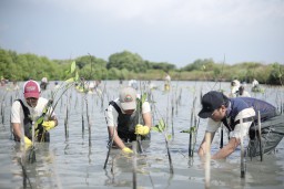 Kurangi Emisi, Karyawan Smelter Freeport dan Warga Manyar Gresik Tanam Mangrove Peringati Hari Lingkungan Hidup 2024