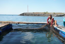Rambah Budi Daya Ikan dan Lobster, PLN Fasilitasi Rumah Apung bagi Warga Kampung Mandar