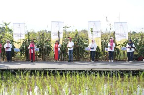 Petrokimia Gresik Memperluas Program Kartini Tani Untuk Pertanian Berkelanjutan Hingga Banyuwangi