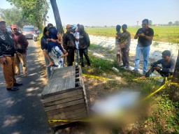 Warga Desa Betek Kabupaten Jombang Geger Penemuan Mayat Bayi Terbungkus Kresek