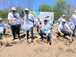 SKK Migas dan KKKS Jabanusa Ajak 43 Pemred Tanam Mangrove di Pantai Kulonprogo DIY