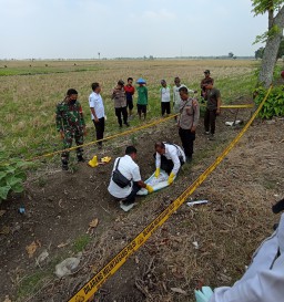 Geger, Warga Bojonegoro Temukan Jasad Bayi Baru Lahir di Sawah