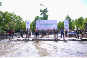 Pelindo Terminal Petikemas Rehabilitasi 25 Hektare Kawasan Mangrove di Sulawesi Tenggara