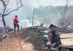 Belasan Ekor Kambing Milik Warga Gresik Terpanggang, Tersambar Api Bakaran Sampah
