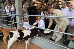 Sambut Baik Kebijakan Mentan, Pj. Gubernur Jatim Sebut Jadi Solusi untuk Maksimalkan Penyerapan Susu Peternak Lokal