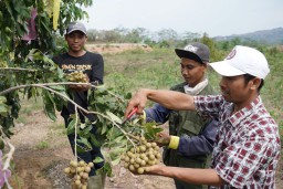 SIG Tingkatkan Kesejahteraan Petani di Rembang Melalui Program Semen Gresik Sahabat Petani