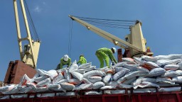 Perkuat Ketahanan Pangan Nasional, Pelindo Multi Terminal Group Pastikan Kelancaran Bongkar Komoditas Beras