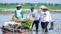 Program Jaksa Sahabat Tani, Pemkab Gresik Bersama Kejati Jatim Perkuat Sinergi untuk Pertanian Berkelanjutan