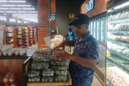 Kembangkan Bisnis Burung Puyuh di Aceh, SIG Bantu Kelompok Peternak Puyuh Andalas Memproduksi 4.000 Telur/Hari