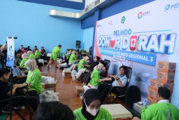 Peringati Bulan K3 Nasional, Pelindo Reg 3 Kumpulkan 239 Kantong Darah untuk PMI