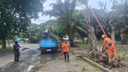 PLN UIT JBM Laksanakan Grebeg Row, Jaga Keamanan dan Keandalan Jaringan Transmisi di Tengah Cuaca Ekstrem