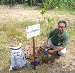 PT Smelting Turut Menanam Pohon Bersama PWI Gresik, Berkontribusi Selamatkan Kehidupan