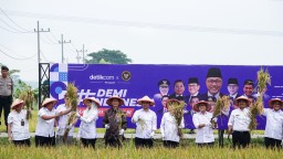 Panen Raya Bersama Menko Pangan, Wagub Emil : Swasembada Pangan Harus Selaras Peningkatan Kesejahteraan Petani