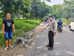 Mahasiswi Lamongan Tewas dalam Kecelakaan Tragis di Bunder Gresik